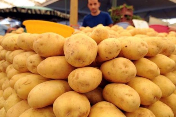 Patates ve soğan fiyatı neden yükseliyor?